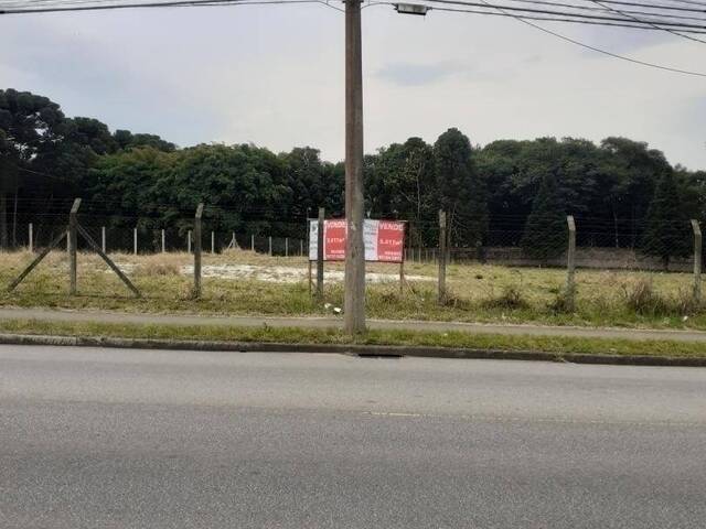 #TC62_9 - Terreno para Venda em Curitiba - PR - 2