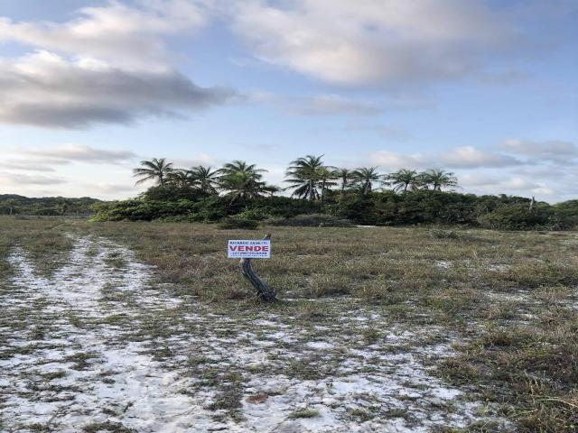 #955 - Terreno para Venda em Maxaranguape - RN - 1