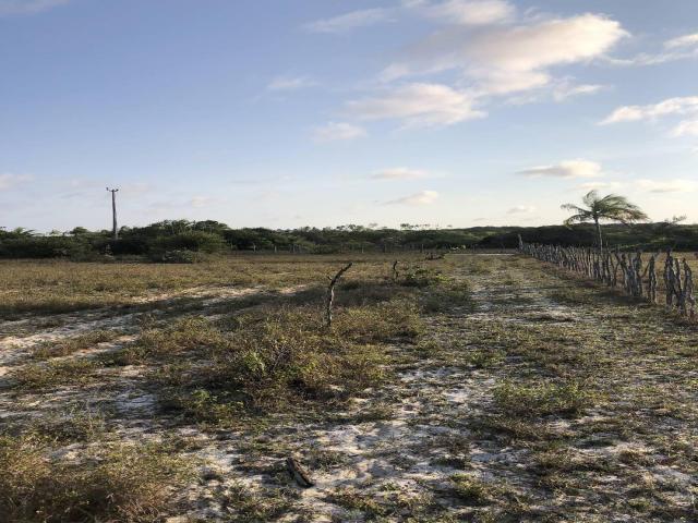Terreno para Venda em Maxaranguape - 4