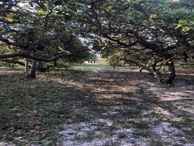 Terreno para Venda em Maxaranguape - 5