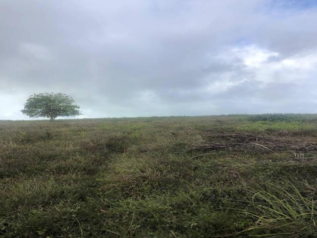 Terreno para Venda em Tibau do Sul - 4