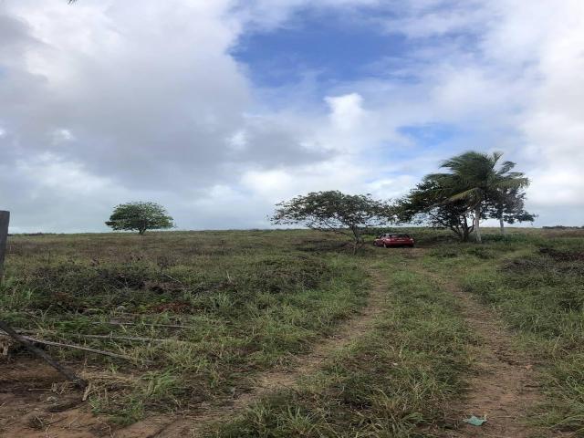 Terreno para Venda em Tibau do Sul - 2