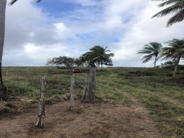 Terreno para Venda em Tibau do Sul - 3