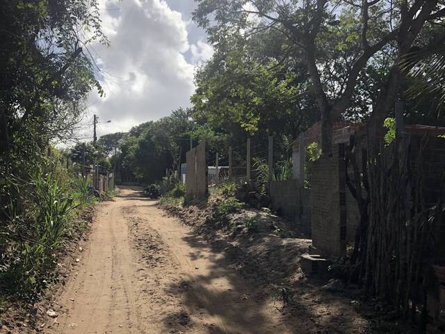 #1121 - Terreno para Venda em Tibau do Sul - RN
