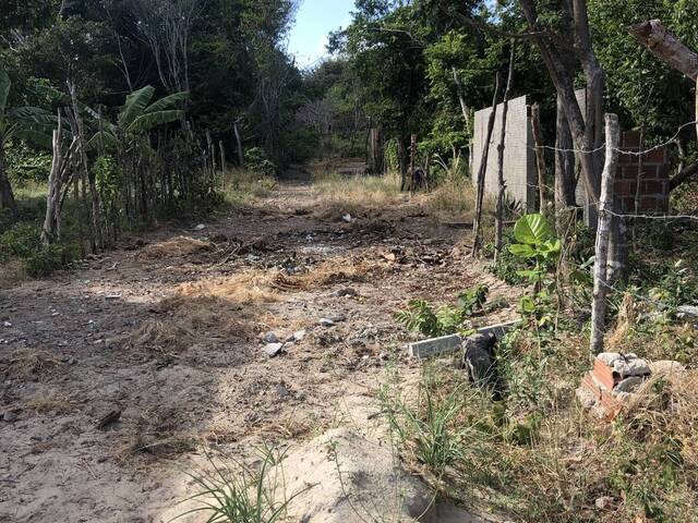 Terreno para Venda em Tibau do Sul - 4