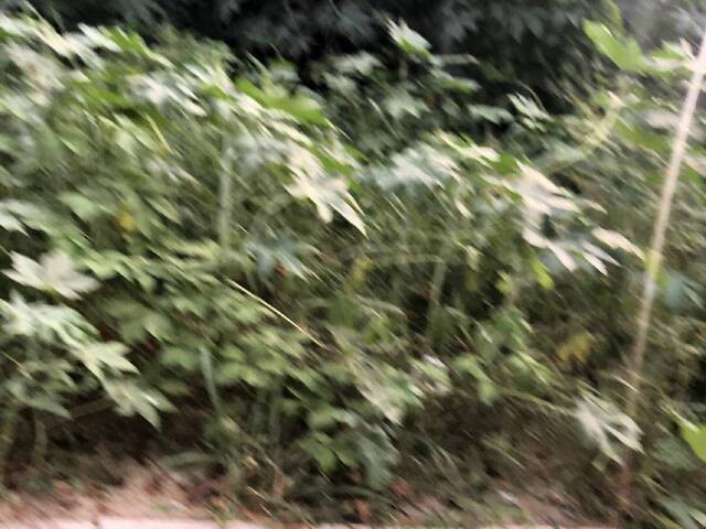 Terreno para Venda em Tibau do Sul - 2