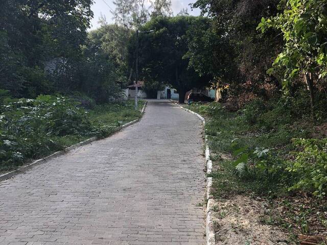 Terreno para Venda em Tibau do Sul - 3