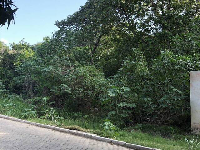 Terreno para Venda em Tibau do Sul - 4