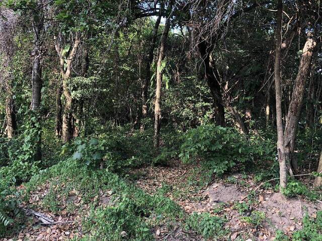 Terreno para Venda em Tibau do Sul - 5