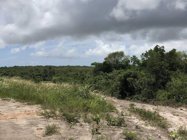 Terreno para Venda em Tibau do Sul - 4