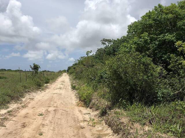 Terreno para Venda em Tibau do Sul - 5