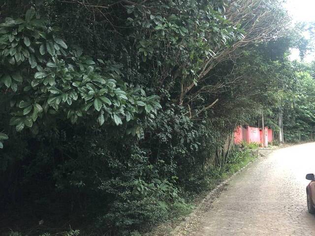 Terreno para Venda em Tibau do Sul - 2