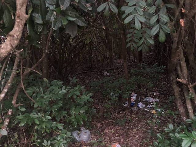 Terreno para Venda em Tibau do Sul - 5