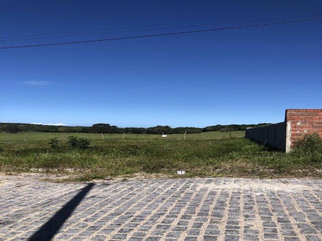 #1310 - Terreno para Venda em Tibau do Sul - RN - 2