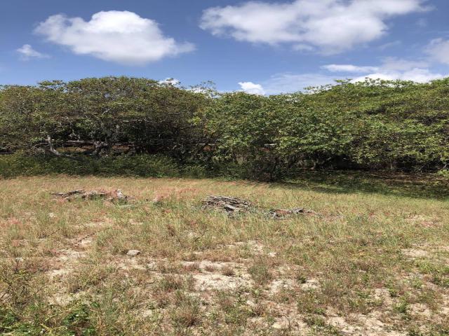 Terreno para Venda em Tibau do Sul - 4