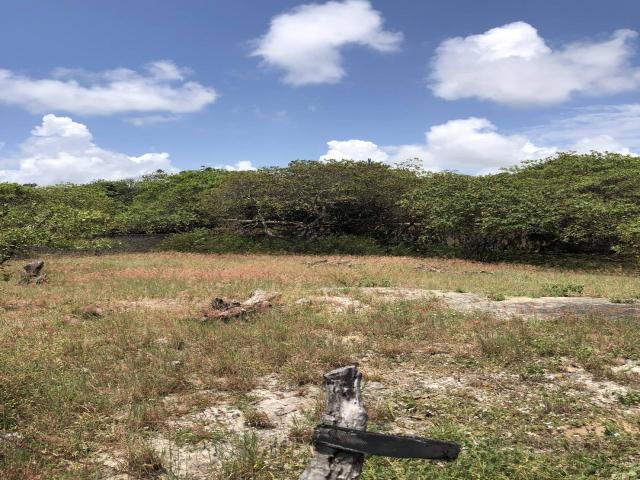 Terreno para Venda em Tibau do Sul - 5