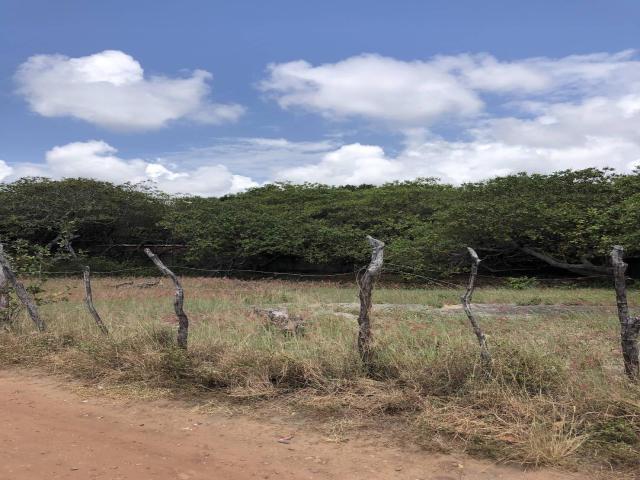 Terreno para Venda em Tibau do Sul - 3
