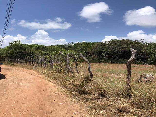 Venda em Pipa - Tibau do Sul