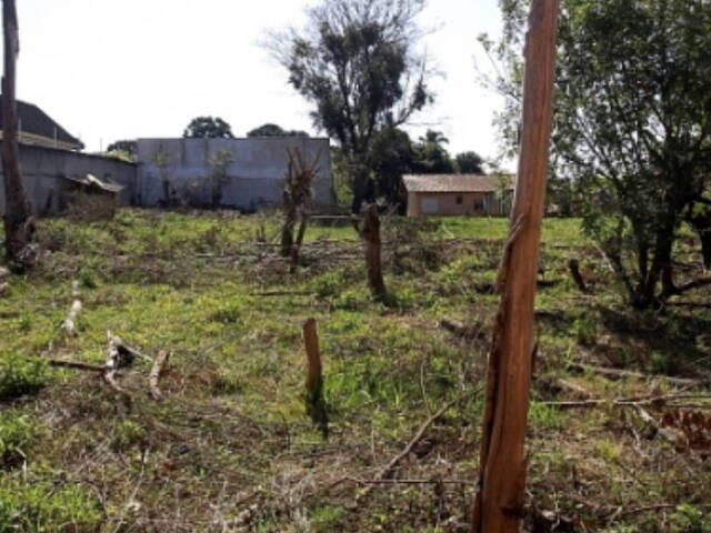 Terreno para Venda em Curitiba - 4
