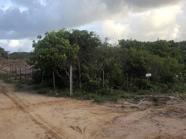 #1419 - Terreno para Venda em Tibau do Sul - RN