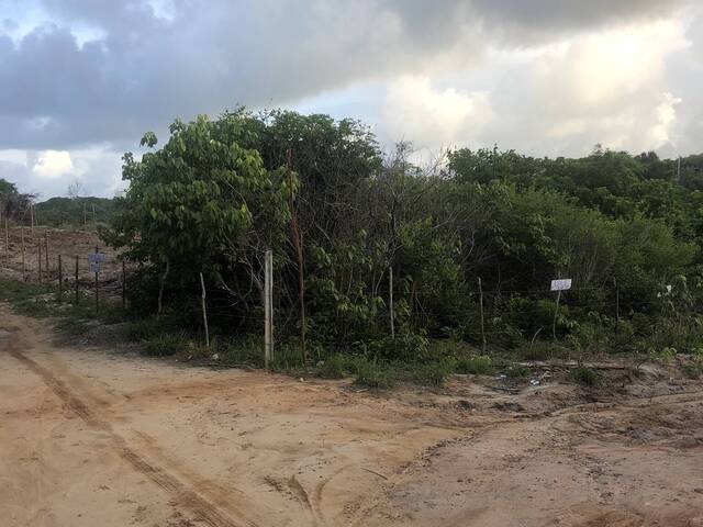 Terreno para Venda em Tibau do Sul - 2