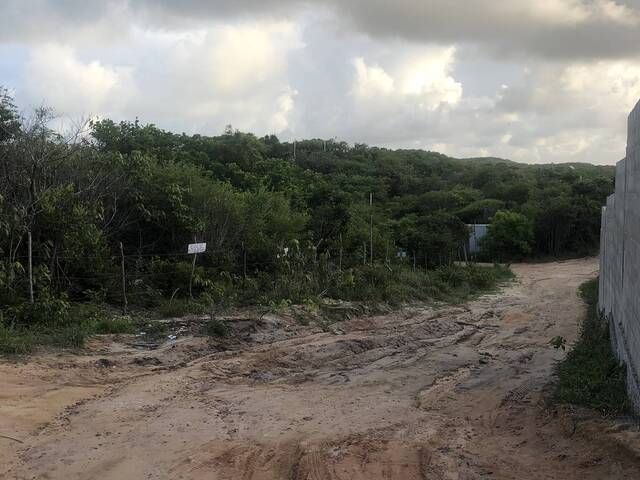 Terreno para Venda em Tibau do Sul - 3