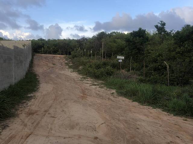 Terreno para Venda em Tibau do Sul - 4