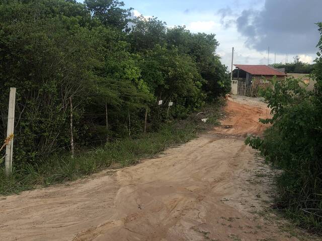 Terreno para Venda em Tibau do Sul - 5
