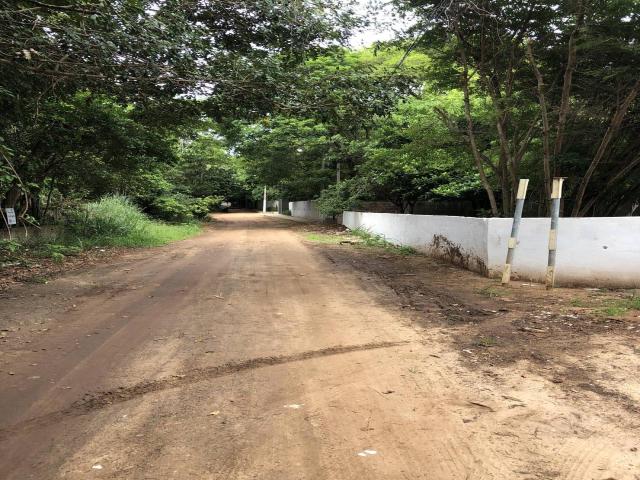 Terreno para Venda em Tibau do Sul - 5