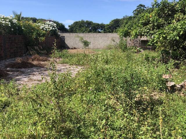 Venda em Pipa - Tibau do Sul