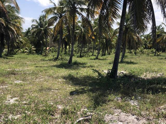 Venda em Barra de Cunhaú - Canguaretama
