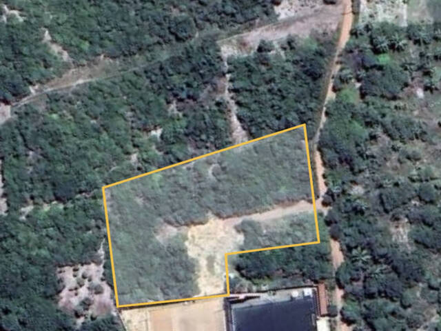 Terreno para Venda em Tibau do Sul - 3