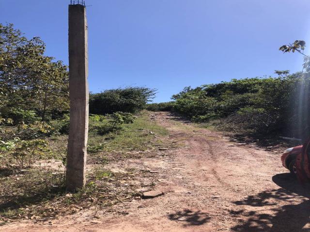 Terreno para Venda em Tibau do Sul - 5