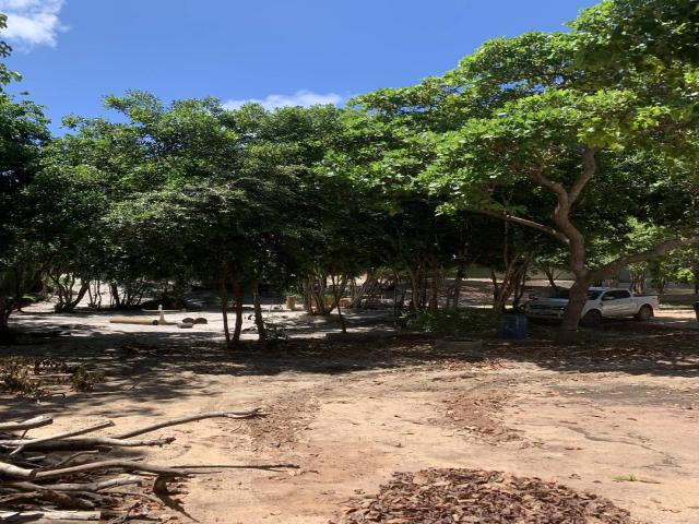 Terreno para Venda em Tibau do Sul - 4