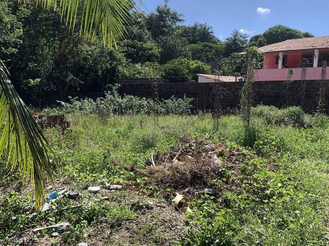 #1677 - Terreno para Venda em Tibau do Sul - RN - 3
