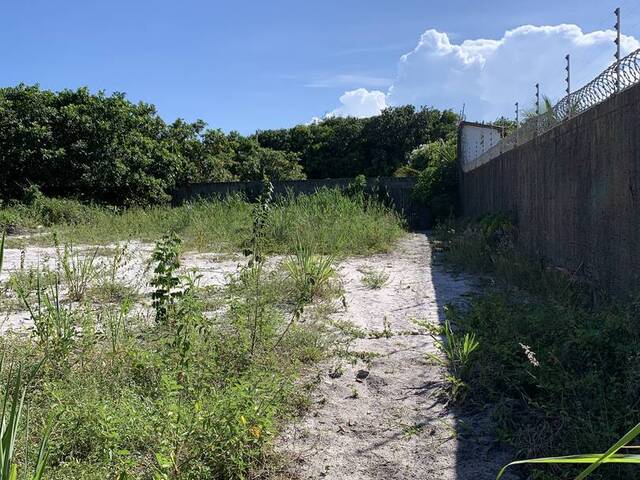 #1683 - Terreno para Venda em Tibau do Sul - RN - 1