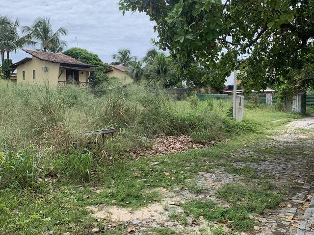 Terreno para Venda em Tibau do Sul - 5