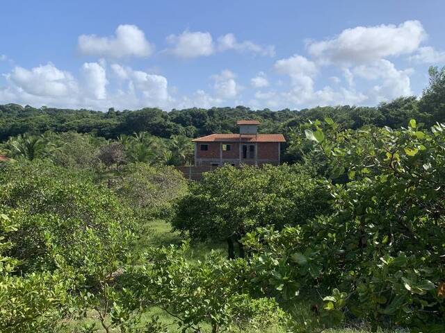 #1782 - Terreno para Venda em Tibau do Sul - RN