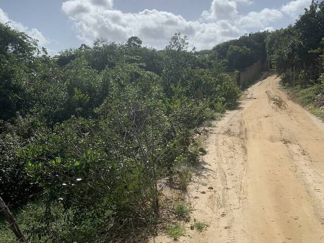 #1782 - Terreno para Venda em Tibau do Sul - RN