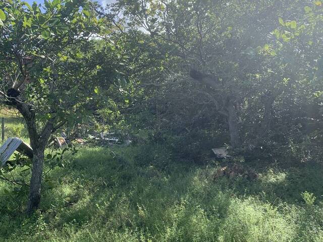 Terreno para Venda em Tibau do Sul - 4