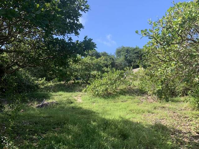 Terreno para Venda em Tibau do Sul - 5