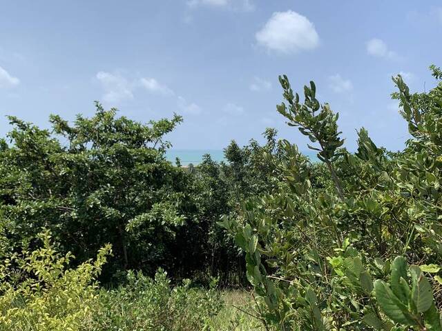 Venda em Pipa - Tibau do Sul