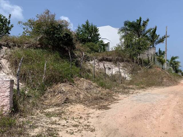 Terreno para Venda em Tibau do Sul - 4