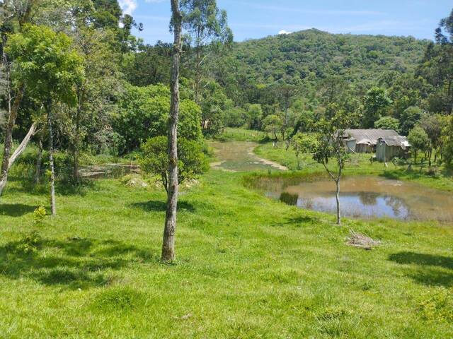 #1914 - Área para Venda em Campo Largo - PR - 1
