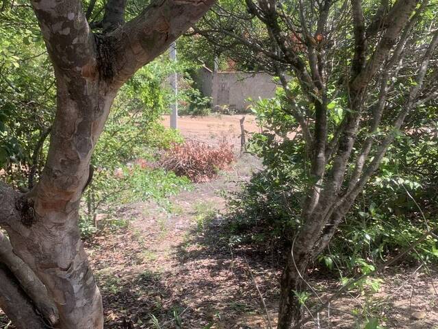 Terreno para Venda em Tibau do Sul - 5