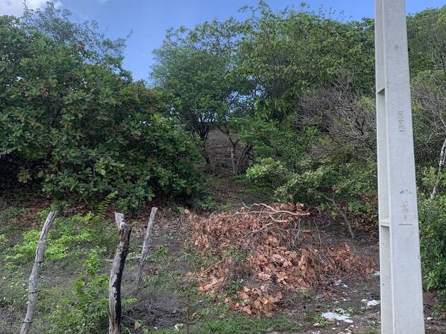 #1980 - Área para Venda em Tibau do Sul - RN - 1