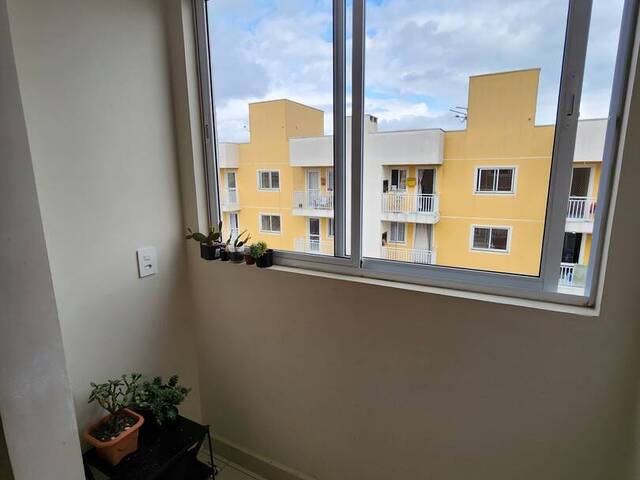 #1991 - Apartamento para Venda em São José dos Pinhais - PR - 3