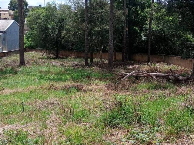 #T006_25 - Área para Venda em Fazenda Rio Grande - PR - 2