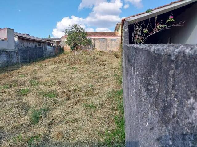#T007_25 - Terreno para Venda em Curitiba - PR - 3