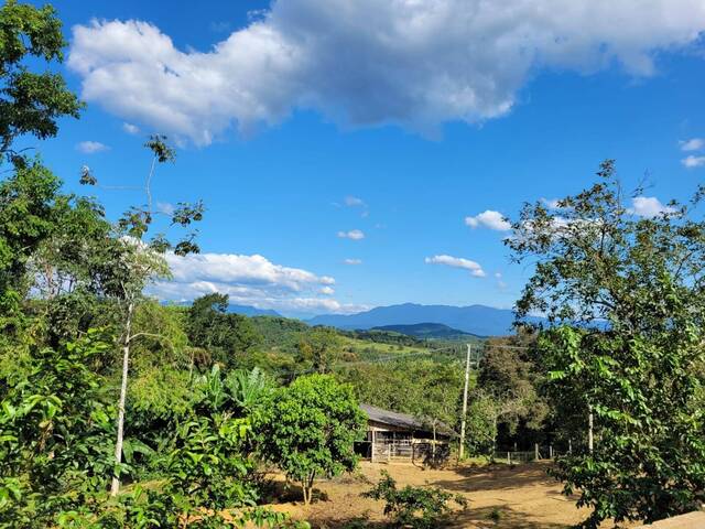 #R0002_25 - Chácara para Venda em Antonina - PR - 3
